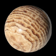 Chocolate Calcite sphere 47mm 154g - Rocks and Things Store