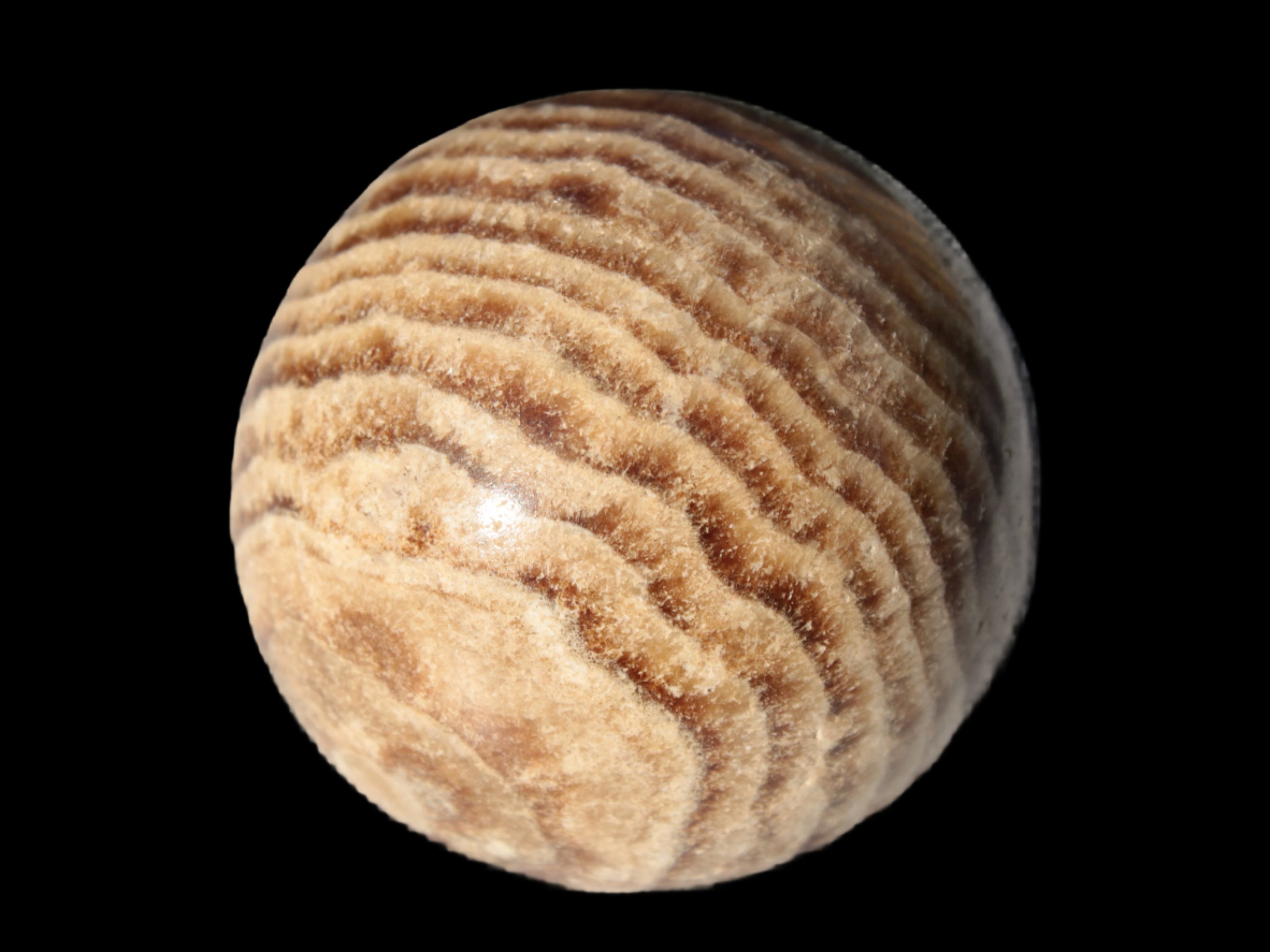 Chocolate Calcite sphere 47mm 154g - Rocks and Things Store