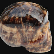 Chocolate Calcite skull 48mm 160.6g Rocks and Things