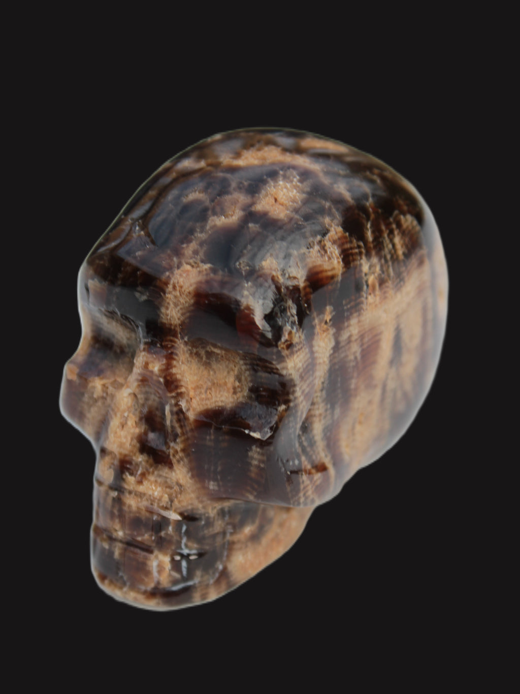 Chocolate Calcite skull 48mm 160.6g Rocks and Things