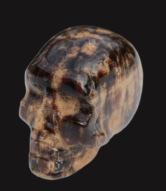 Chocolate Calcite skull 48mm 160.6g Rocks and Things