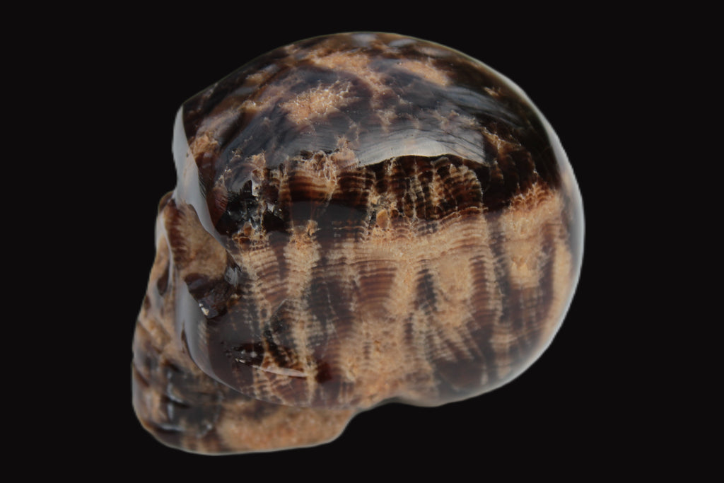 Chocolate Calcite skull 48mm 160.6g Rocks and Things