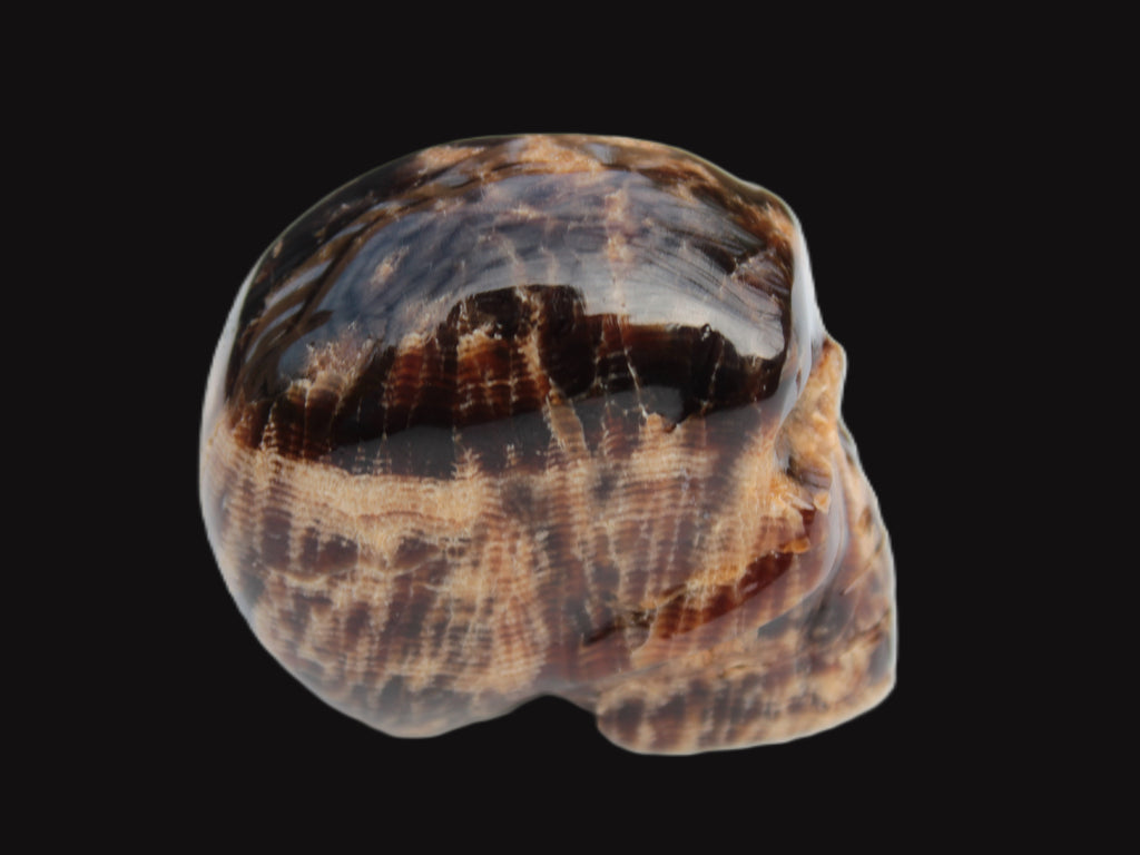 Chocolate Calcite skull 48mm 160.6g Rocks and Things