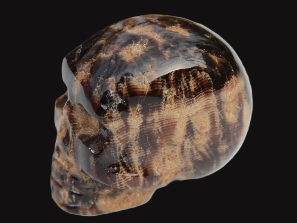 Chocolate Calcite skull 48mm 160.6g Rocks and Things
