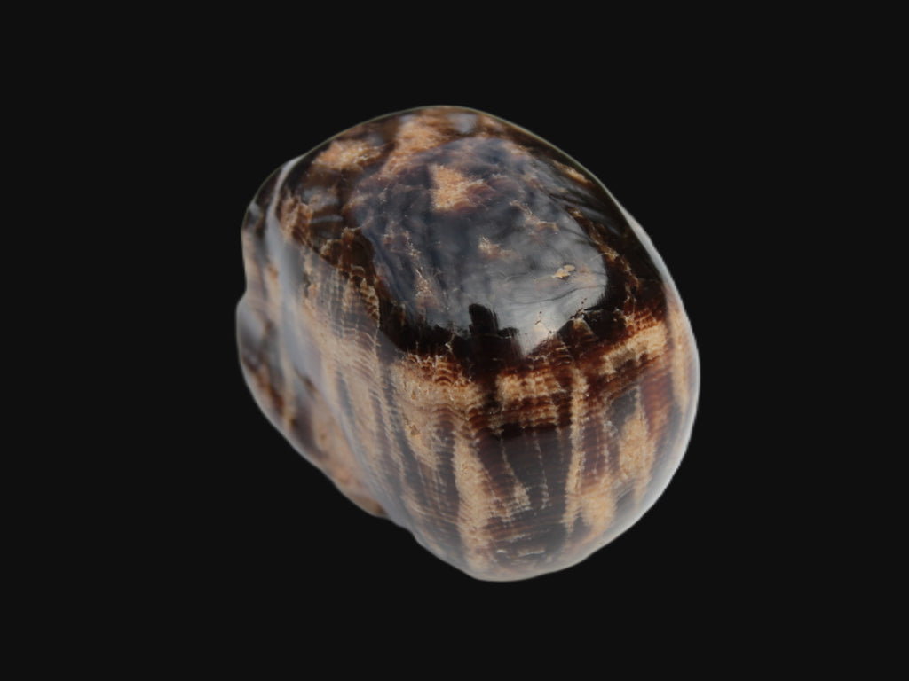 Chocolate Calcite skull 48mm 160.6g Rocks and Things