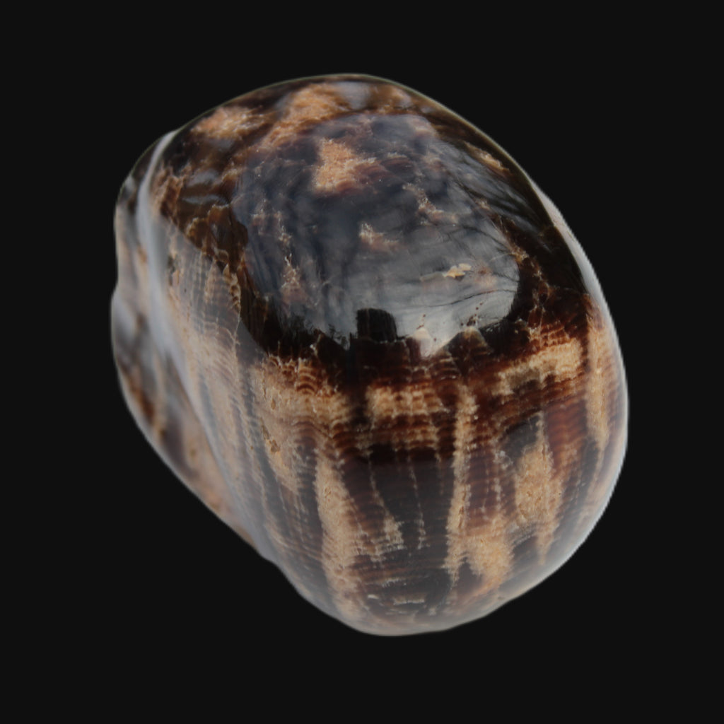 Chocolate Calcite skull 48mm 160.6g Rocks and Things