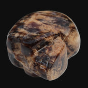 Chocolate Calcite skull 48mm 160.6g Rocks and Things