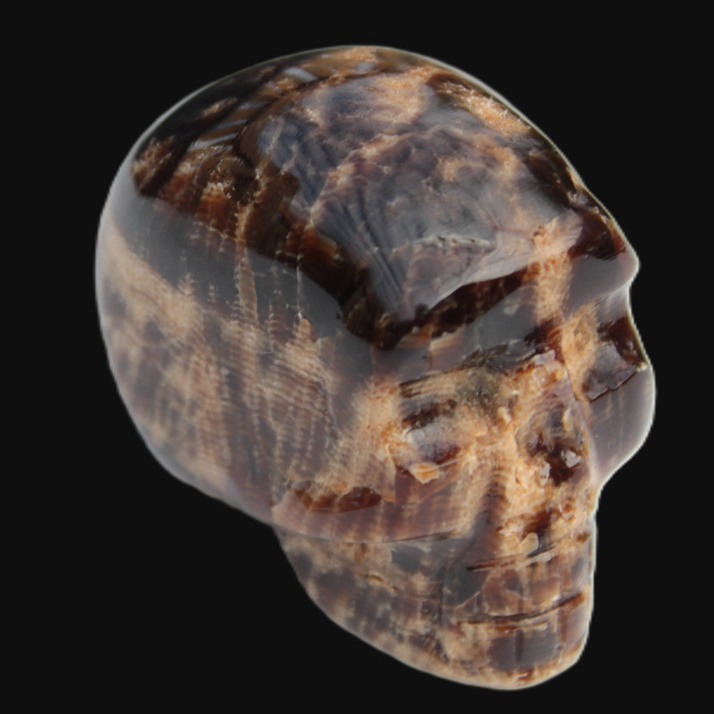 Chocolate Calcite skull 48mm 160.6g Rocks and Things
