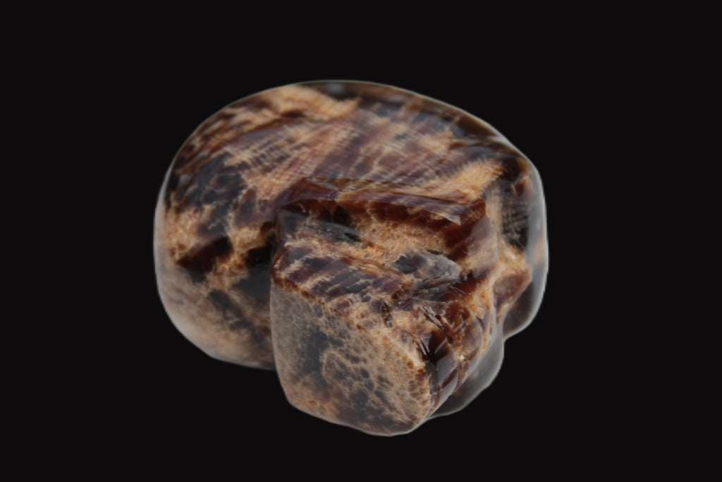 Chocolate Calcite skull 48mm 160.6g Rocks and Things