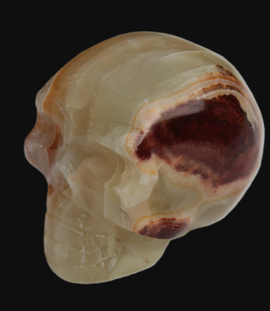 Afghan Jade skull 47-52mm  180-198g  in sunlight - Rocks and Things Store