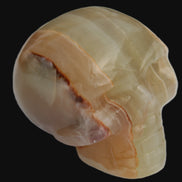 Afghan Jade skull 47-52mm  180-198g Rocks and Things Store