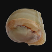 Afghan Jade skull 47-52mm  180-198g  in sunlight - Rocks and Things Store