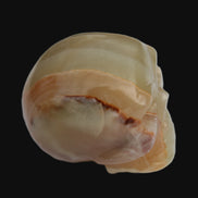 Afghan Jade skull 47-52mm  180-198g Rocks and Things Store