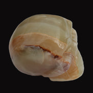 Afghan Jade skull 47-52mm  180-198g Rocks and Things Store