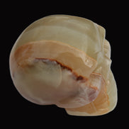 Afghan Jade skull 47-52mm  180-198g  in sunlight - Rocks and Things Store