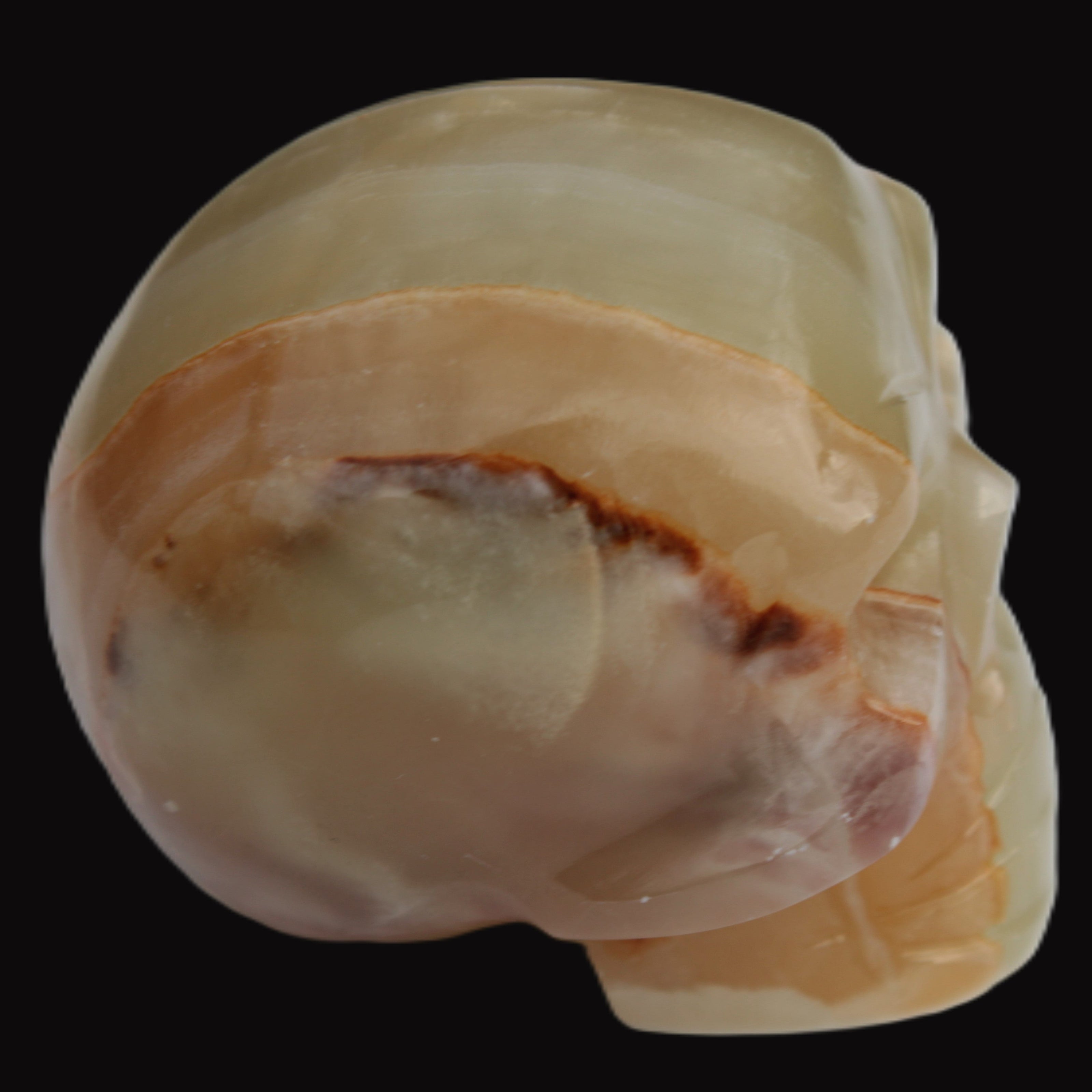 Afghan Jade skull 47-52mm  180-198g  in sunlight - Rocks and Things Store
