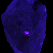 Black Tourmaline on flat-plated clear Calcite matrix from Afghanistan 65.8g in UV light - Rocks and Things Store