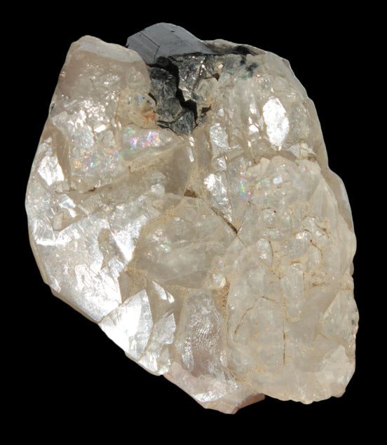 Black Tourmaline on flat-plated clear Calcite matrix from Afghanistan 65.8g in sunlight - Rocks and Things Store