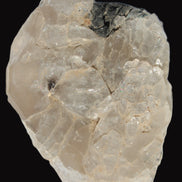 Black Tourmaline on flat-plated clear Calcite matrix from Afghanistan 65.8g in sunlight - Rocks and Things Store