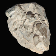 Black Tourmaline on flat-plated clear Calcite matrix from Afghanistan 65.8g in sunlight - Rocks and Things Store