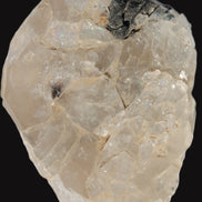 Black Tourmaline on flat-plated clear Calcite matrix from Afghanistan 65.8g in sunlight - Rocks and Things Store