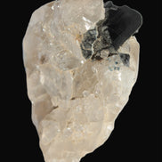 Black Tourmaline on flat-plated clear Calcite matrix from Afghanistan 65.8g in sunlight - Rocks and Things Store