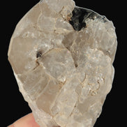 Black Tourmaline on flat-plated clear Calcite matrix from Afghanistan 65.8g in sunlight - Rocks and Things Store