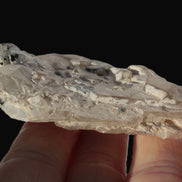 Black Tourmaline on flat-plated clear Calcite matrix from Afghanistan 65.8g Rocks and Things