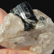 Black Tourmaline on flat-plated clear Calcite matrix from Afghanistan 65.8g Rocks and Things