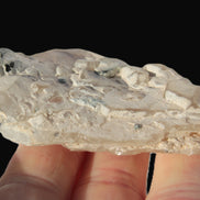 Black Tourmaline on flat-plated clear Calcite matrix from Afghanistan 65.8g Rocks and Things