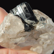 Black Tourmaline on flat-plated clear Calcite matrix from Afghanistan 65.8g Rocks and Things