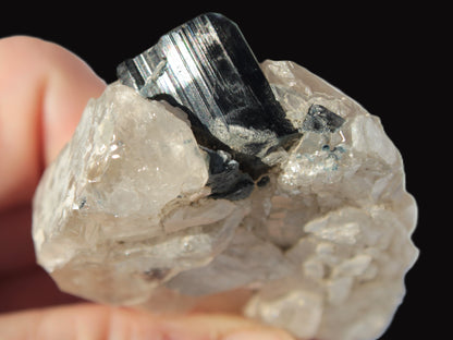 Black Tourmaline on flat-plated clear Calcite matrix from Afghanistan 65.8g Rocks and Things