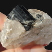Black Tourmaline on flat-plated clear Calcite matrix from Afghanistan 65.8g Rocks and Things