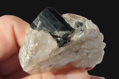 Black Tourmaline on flat-plated clear Calcite matrix from Afghanistan 65.8g Rocks and Things