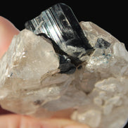 Black Tourmaline on flat-plated clear Calcite matrix from Afghanistan 65.8g Rocks and Things