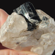 Black Tourmaline on flat-plated clear Calcite matrix from Afghanistan 65.8g Rocks and Things