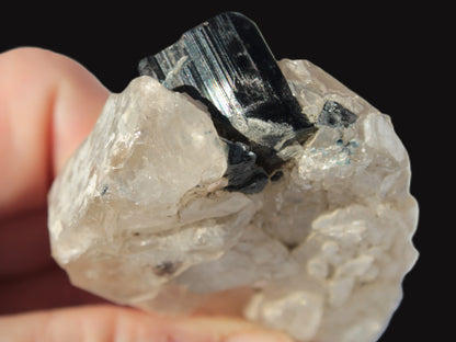 Black Tourmaline on flat-plated clear Calcite matrix from Afghanistan 65.8g Rocks and Things