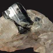 Black Tourmaline on flat-plated clear Calcite matrix from Afghanistan 65.8g Rocks and Things