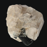 Black Tourmaline on flat-plated clear Calcite matrix from Afghanistan 65.8g Rocks and Things