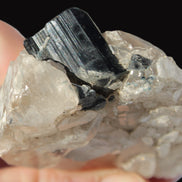 Black Tourmaline on flat-plated clear Calcite matrix from Afghanistan 65.8g Rocks and Things