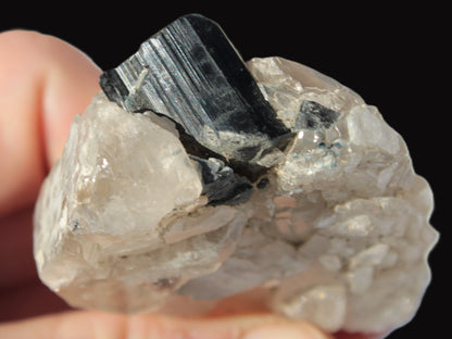 Black Tourmaline on flat-plated clear Calcite matrix from Afghanistan 65.8g Rocks and Things