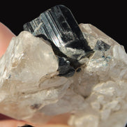 Black Tourmaline on flat-plated clear Calcite matrix from Afghanistan 65.8g Rocks and Things