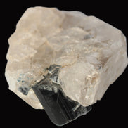 Black Tourmaline on flat-plated clear Calcite matrix from Afghanistan 65.8g Rocks and Things