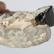 Black Tourmaline on flat-plated clear Calcite matrix from Afghanistan 65.8g Rocks and Things