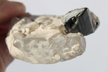 Black Tourmaline on flat-plated clear Calcite matrix from Afghanistan 65.8g Rocks and Things