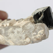 Black Tourmaline on flat-plated clear Calcite matrix from Afghanistan 65.8g Rocks and Things
