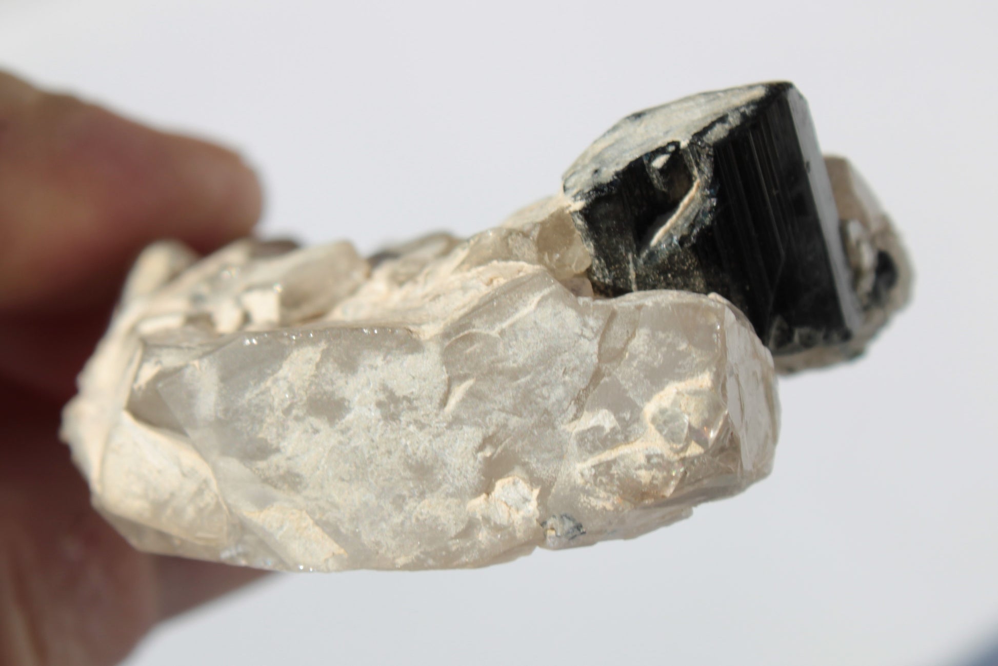 Black Tourmaline on flat-plated clear Calcite matrix from Afghanistan 65.8g Rocks and Things