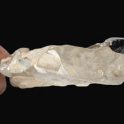 Black Tourmaline on flat-plated clear Calcite matrix from Afghanistan 65.8g Rocks and Things