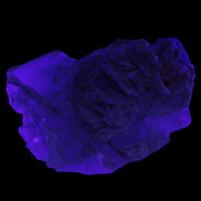 Large bi-colour terminated Green Tourmaline, Clear Aquamarine & Lepidolite on matrix 118.9g in UV light - Rocks and Things Store