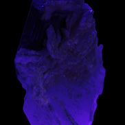 Large bi-colour terminated Green Tourmaline, Clear Aquamarine & Lepidolite on matrix 118.9g in UV light - Rocks and Things Store